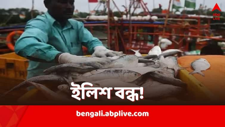 Bangladesh bans Padma Hilsa export to India before Durga Puja While eggs exported to Dhaka through Benapole port Bangladesh Hilsa Export Ban: পুজোর মুখে পদ্মার ইলিশ রফতানি নিষিদ্ধ করল বাংলাদেশ, ঢাকায় ডিমের জোগান অব্যাহত রাখছে ভারত