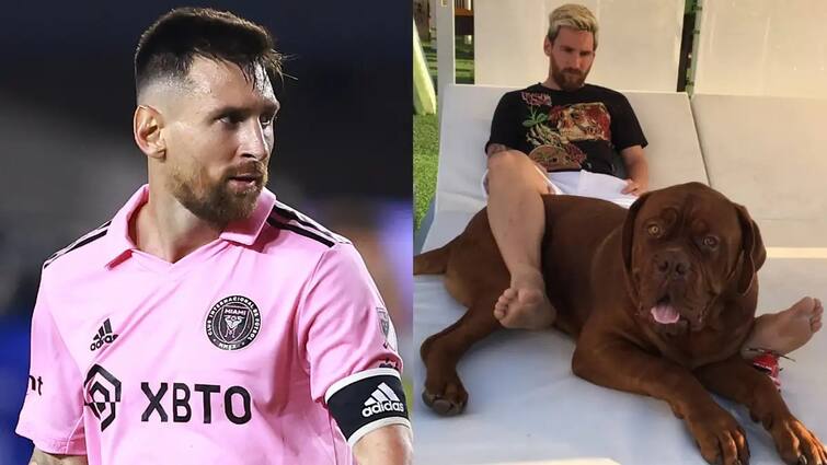 How much does Lionel Messi Dog Cost Lionel Messi Dog Cost:அடேங்கப்பா..மெஸ்ஸியின் செல்லப்பிராணி இத்தனை லட்சமா?வெளியான முக்கிய தகவல்