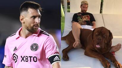 How much does Lionel Messi Dog Cost Lionel Messi Dog Cost:அடேங்கப்பா..மெஸ்ஸியின் செல்லப்பிராணி இத்தனை லட்சமா?வெளியான முக்கிய தகவல்