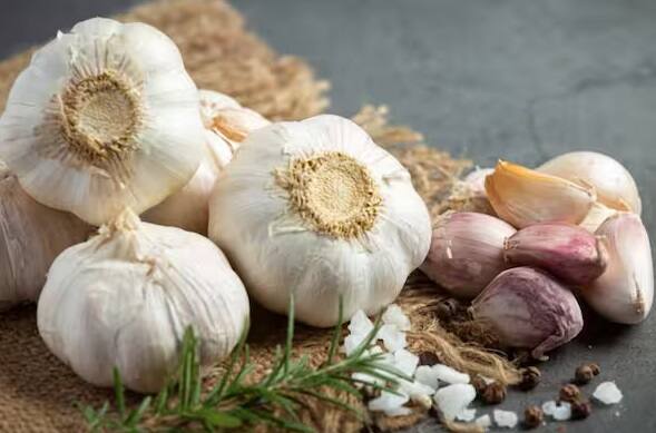 લસણ રક્તસ્રાવનો સમય વધી શકે છે. લસણ લોહીના ગંઠાવાની સંભાવનાને ઘટાડી શકે છે, જે સર્જરી દરમિયાન અથવા પછી રક્તસ્રાવનું કારણ બની શકે છે.