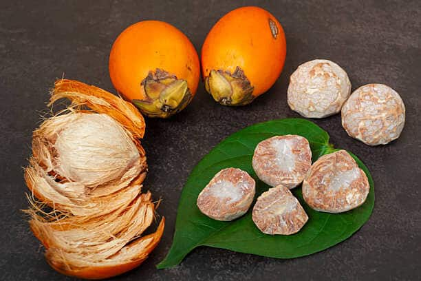 surprising Health Benefits of Betel Nuts ਪੂਰੇ ਸਰੀਰ ਦੇ ਦਰਦ ਨੂੰ ਚੂਸ ਲਵੇਗਾ ਇਹ ਛੋਟਾ ਜਿਹਾ ਫਲ! ਪੇਟ ਲਈ ਰਾਮਬਾਣ, ਜਾਣੋ ਇਸਦੇ 6 ਵੱਡੇ ਫਾਇਦੇ