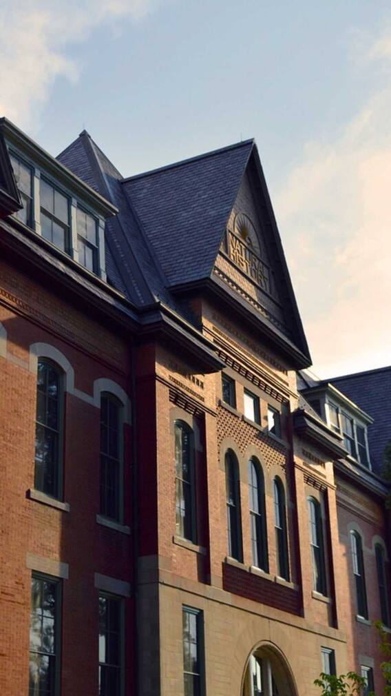 ये है दुनिया का बेस्ट मैनेजमेंट संस्थान