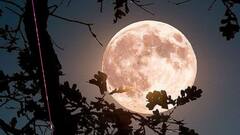 ਭਾਰਤ, ਰੂਸ ਅਤੇ ਚੀਨ ਮਿਲ ਕੇ ਕਰਨ ਵਾਲੇ ਹਨ ਇਸ ਮਿਸ਼ਨ 'ਤੇ ਕੰਮ, ਦੁਨੀਆ ਭਰ 'ਚ ਚਰਚਾ ਸ਼ੁਰੂ