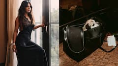 Priyanka Chopra: కుక్క పిల్లని బాగ్ లో వేసుకుని తిరుగుతున్న ప్రియాంక- డస్కీ బ్యూటీ లేటెస్ట్ పిక్స్ చూశారా?