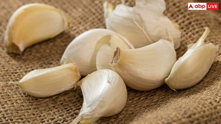 chinese garlic banned in india how it differs from its Indian counterpart भारत के मार्केट में आया चाइनीज लहसुन, जानें ये आपकी सेहत के लिए कितना खतरनाक और कैसे करें पहचान