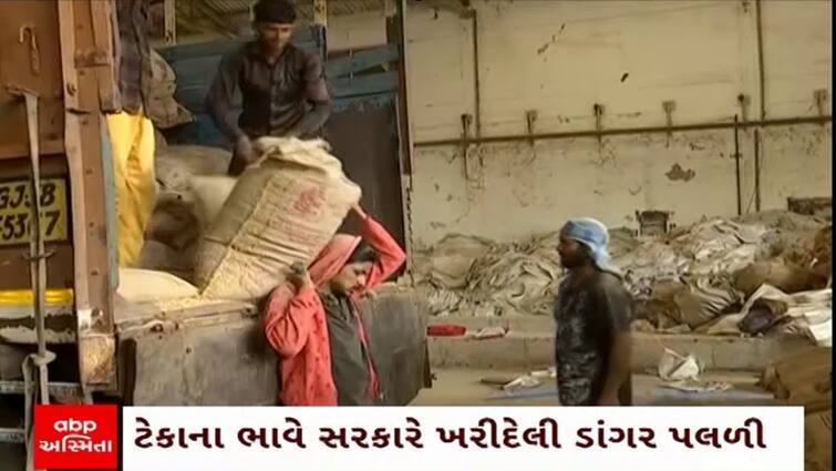 A quantity of government food grains kept in a godown in Viramgam got soaked in rain water Ahmedabad: અધિકારીઓની બેદરકારીથી કરોડો રૂપિયાનું સરકારી અનાજ પલળ્યું, હવે સ્થળાંતર માટે પણ લાખો ખર્ચાશે