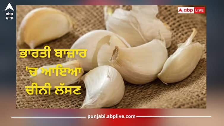 chinese garlic banned in india how it differs from its indian counterpart health news Chinese Garlic: ਭਾਰਤੀ ਬਾਜ਼ਾਰ 'ਚ ਆਇਆ ਚੀਨੀ ਲੱਸਣ, ਜਾਣੋ ਤੁਹਾਡੀ ਸਿਹਤ ਲਈ ਕਿੰਨਾ ਖਤਰਨਾਕ ਅਤੇ ਕਿਵੇਂ ਕਰੀਏ ਪਛਾਣ