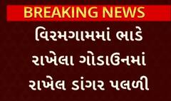 Ahmedabad News | પુરવઠા વિભાગની બેદરકારીથી કરોડો રૂપિયાનું સરકારી અનાજ પલળ્યું, જુઓ VIDEO