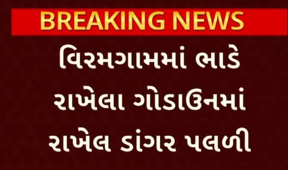 Ahmedabad News | પુરવઠા વિભાગની બેદરકારીથી કરોડો રૂપિયાનું સરકારી અનાજ પલળ્યું, જુઓ VIDEO