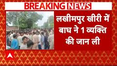 Lakhimpur Tiger Attack: लखीमपुर खीरी में बाघ का आतंक जारी, एक और व्यक्ति की ली जान | ABP News |