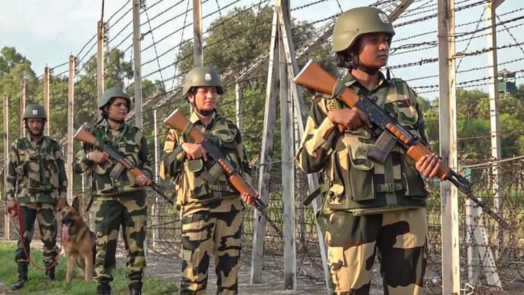 Jammu Kashmir BSF Personnel Injured As Pakistani Troops Violate Ceasefire Along Border In Jammu Jammu & Kashmir: BSF Jawan Injured As Pakistani Troops Violate Ceasefire Pact Along Akhnoor Border