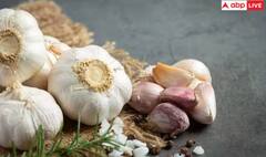 Surgery ਹੋਣ ਤੋਂ ਪਹਿਲਾਂ ਕਿਉਂ ਨਹੀ ਖਾਣਾ ਚਾਹੀਦਾ ਲਸਣ? ਜਾਣ ਲਓ ਇਸ ਦਾ ਕਾਰਨ