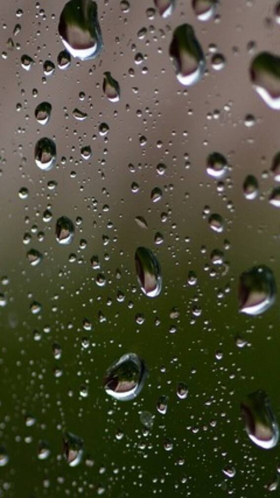 बारिश के बाद उमस से बचने का ये है तरीका