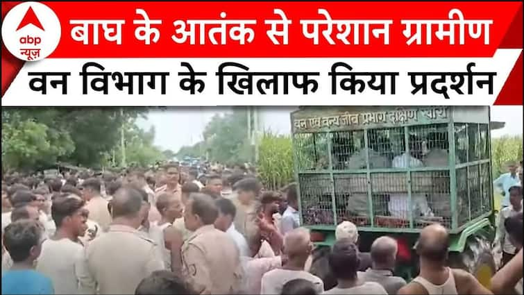 Lakhimpur Tiger Attack: बाघ के आतंक से परेशान ग्रामीणों ने वन विभाग के ​खिलाफ किया प्रदर्शन | ABP |