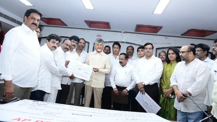 AP CM Chandrababu received Donations To AP Flood Victims from Kia India to Electricity empolyees union AP Floods Donation: వరద బాధితులకు భారీ విరాళాలు, నేడు అత్యధికంగా రూ. 10.61 కోట్ల చెక్కు చంద్రబాబుకు అందజేత