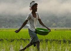 ਇਨ੍ਹਾਂ ਕਿਸਾਨਾਂ ਨੂੰ ਫਿਰ ਹੋਣਾ ਪਵੇਗਾ ਨਿਰਾਸ਼, ਨਹੀਂ ਆਵੇਗੀ ਪੀਐਮ ਕਿਸਾਨ ਯੋਜਨਾ ਦੀ ਅਗਲੀ ਕਿਸ਼ਤ