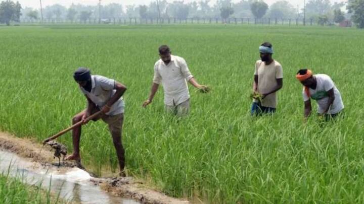 बता दें जिन किसानों ने अब तक योजनाओं से जुड़ी ई केवाईसी और भू सत्यापन के काम को नहीं करवाया है. उन्हें अगली किस्त का लाभ नहीं मिल पाएगा.