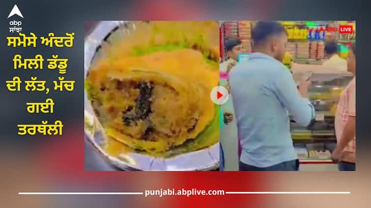 Frog leg found inside samosa, video of Ghaziabad shop going viral Viral Video: ਸਮੋਸੇ ਅੰਦਰੋਂ ਮਿਲੀ ਡੱਡੂ ਦੀ ਲੱਤ, ਗਾਜ਼ੀਆਬਾਦ ਦੀ ਦੁਕਾਨ ਦਾ ਵੀਡੀਓ ਵਾਇਰਲ