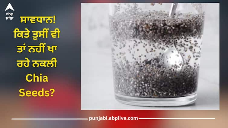 Real or Fake:  Are you eating fake chia seeds? Identify the original with these tricks Real or Fake: ਸਾਵਧਾਨ! ਕਿਤੇ ਤੁਸੀਂ ਵੀ ਤਾਂ ਨਹੀਂ ਖਾ ਰਹੇ ਨਕਲੀ ਚੀਆ ਸੀਡਜ਼? ਇਨ੍ਹਾਂ ਟ੍ਰਿਕਸ ਦੇ ਨਾਲ ਕਰੋ ਅਸਲੀ ਦੀ ਪਛਾਣ