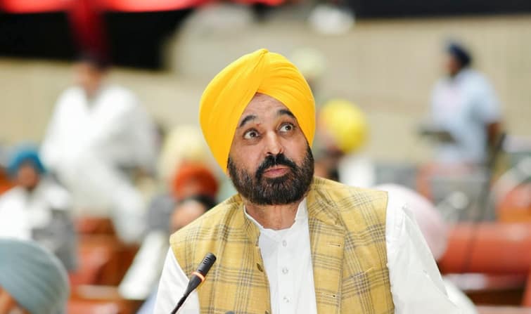 Punjab government transfers 38 IAS one PCS officer Vikas Pratap Rajat Oberoi Bhagwant Mann Punjab Govt Transfers 38 IAS Officers, 1 PCS In Major Administrative Rejig