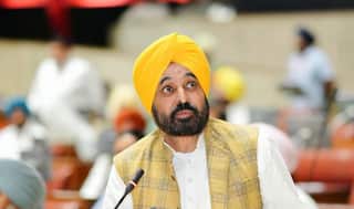 CM ਮਾਨ ਨੇ ਮੁੜ ਚੁੱਕੇ ਵਿਦੇਸ਼ ਨੀਤੀ ‘ਤੇ ਸਵਾਲ, ਕਿਹਾ- ਕਿਸੇ ਵੀ ਦੇਸ਼ ‘ਚ PM ਮੋਦੀ ਦੀ ਫੇਰੀ ਤੋਂ ਬਾਅਦ ਫੈਲਦਾ ਹੈ ਅਡਾਨੀ ਦਾ ਕਾਰੋਬਾਰ