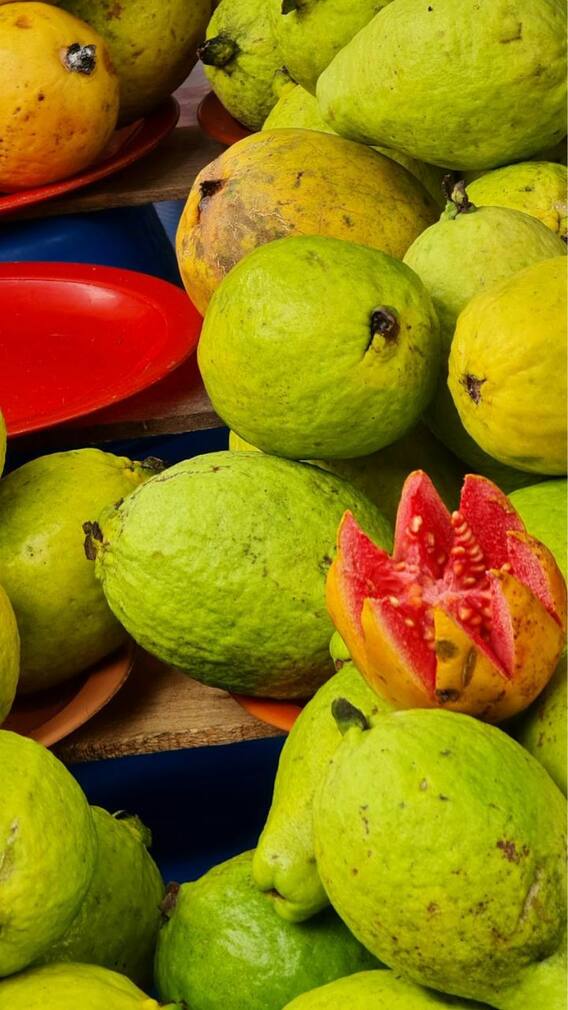 கொய்யா பழம் சாப்பிட சரியான நேரம் எது? எப்போது சாப்பிட்டால் முழு சத்தும் கிடைக்கும்?