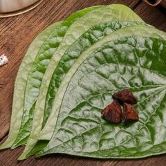 ਪੁਰਾਣੇ ਸਮਿਆਂ ਤੋਂ ਖਾਧਾ ਜਾਣ ਵਾਲਾ ਇਹ ਪੱਤਾ ਸਿਰ ਤੋਂ ਲੈ ਕੇ ਪੈਰ ਤੱਕ ਦੂਰ ਕਰੇਗਾ ਸਮੱਸਿਆਵਾਂ