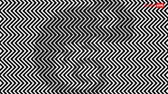 दी गई तस्वीर में छिपा है एक रेप्टाइल, 12 सेकंड में खोजने वाला कहलाएगा धुरंधर