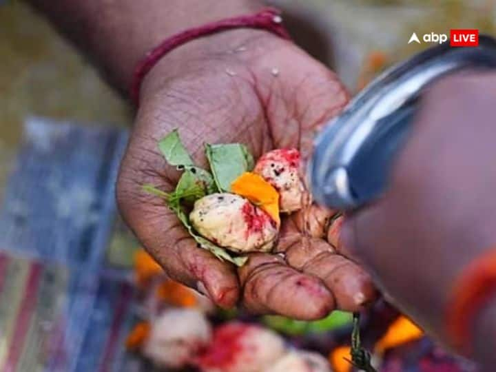 सर्व पितृ अमावस्या पर उन लोगों का श्राद्ध किया जाता है जिनकी मृत्यु तिथि याद नहीं. अगर आप किसी कारणवश भी पितृ पक्ष में श्राद्ध नहीं कर पा रहे हैं तो अमावस्या पर तर्पण, पिंडदान कर दें. इससे पितरों की आत्मा तृप्त हो जाती है. इस साल सर्वपितृ अमावस्या 2 अक्टूबर को है.