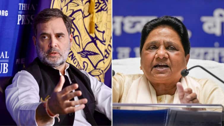 MP Indore Army Trainee Officers Assault  Rahul Gandhi, Mayawati Slam BJP 'Shameful': Rahul Gandhi, Mayawati Slam BJP Govt Over Assault On Army Trainee Officers In MP