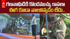 Langur At Ganapati Mandap | గణపతి మండపానికి కొండెంగ కాపలా | ABP Desam