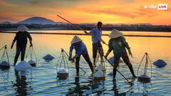 समुद्रों में कहां से आता है इतना नमक, आखिर कैसे इनका पानी हो जाता है इतना खारा?