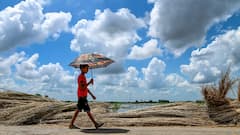 Weather Update: ভাদ্রের আকাশে দুর্যোগের মেঘ, সপ্তাহান্তে প্রবল বর্ষণের আশঙ্কা