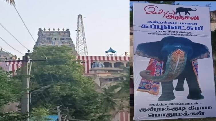 Kunrakudi kovil  temple elephant injured in fire accident has caused tragedy - TNN Kundrakudi Temple Elephant:  தீ விபத்தில் சிக்கிய குன்றக்குடி கோயில் யானை உயிரிழப்பு - சோகத்தில் பக்தர்கள்