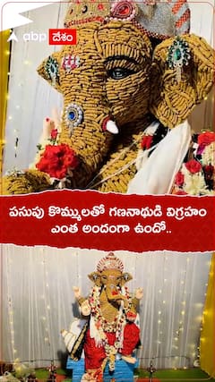 పసుపు కొమ్ములతో గణనాథుడి విగ్రహం ఎంత అందంగా ఉందో..