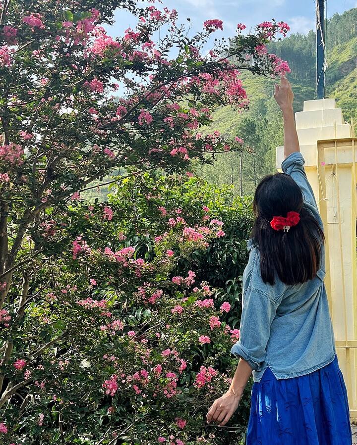 आशा नेगी ने पहाड़ियों में अपनी सहजता की झलकियाँ साझा कीं 2.2 मिलियन फॉलोअर्स वाली आशा ने अपने इंस्टाग्राम अकाउंट पर अपनी छुट्टियों की कई अनदेखी तस्वीरें साझा कीं।