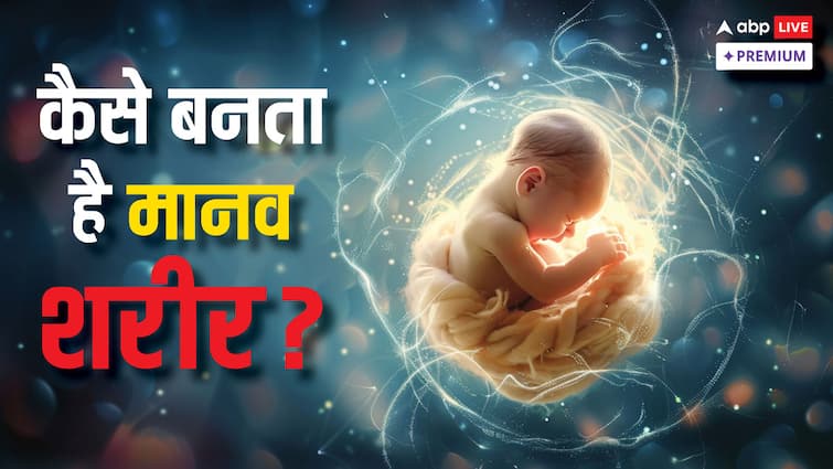 What is new discovery of science Human embryo models Ethical questions are raising ABPP मानव भ्रूण मॉडल: क्या है विज्ञान की यह नई खोज? उठ रहे नैतिक सवाल