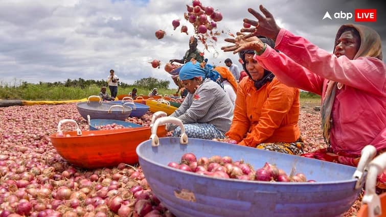 minimum export price on onion and basmati rice removed by government says a report Onion and Rice Price: प्याज-बासमती चावल पर से हटी मिनिमम एक्सपोर्ट प्राइस की बंदिश, गेहूं के रेट घटने की उम्मीद