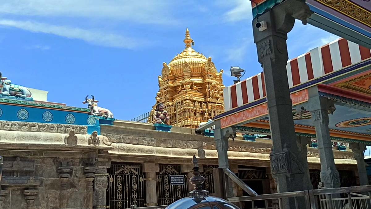 Palani Murugan Temple:  ரூ.5 கோடியை தாண்டிய பழனி கோயில் உண்டியல் வசூல் - எத்தனை நாளில் தெரியுமா?