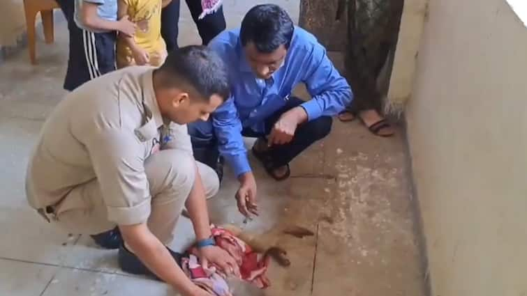 Police personnel treated a sick monkey in Aligarh gave life see video ann Aligarh News: अलीगढ़ में बीमार बंदर के लिए देवदूत बने पुलिसकर्मी, इलाज कराकर दिया जीवनदान