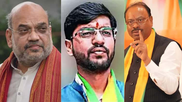 I tell nothing to Amit Shah to save my son says Chandrashekhar Bawankule in Nagpur hit and run case Nagpur Hit & Run case: नागपूर हिट अँड रन प्रकरणात लेकरु अडचणीत, चंद्रशेखर बावनकुळे म्हणाले, मी अमित शाहांनाही काहीच बोललो नाही