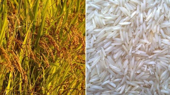 यामुळे शेतकऱ्यांना त्यांच्या उत्पादनाचे निर्यातमार्ग खुल्या पद्धतीनं उपलब्ध होतील, आणि त्यांना आंतरराष्ट्रीय बाजारपेठेतील मागणीचा अधिक फायदा मिळू शकेल.