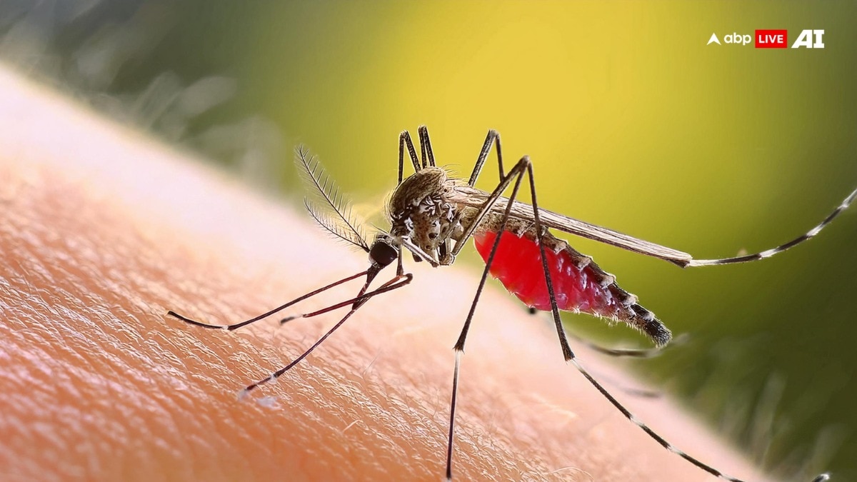 Dengue in Bihar: पटना में रहते हैं तो डेंगू से हो जाएं सावधान, NMCH में अब तक 2 मौत, अभी 18 लोग भर्ती