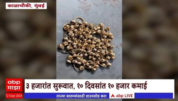 Ladki Bahin Yojana Scheme benefits : लाडकी बहीण योजनेतून मिळालेल्या पैशांचा योग्य विनियोग