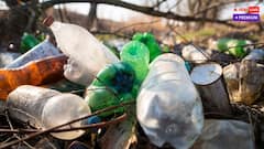 ભારતમાં જ સૌથી વધુ પ્લાસ્ટિક પ્રદૂષણ કેમ? જાણો કારણ અને સરકારની નીતિઓ