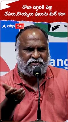 రోజా దగ్గరికి వెళ్లి..చేపలు, రొయ్యలు పులుసు మీదే కదా ..