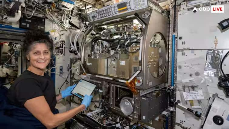 Sunita Williams and Butch Wilmore vote from space what are the rules for voting in America know what is the process अंतरिक्ष से वोट डालेंगे सुनीता विलियम्स और बुच विलमोर, जानिए अमेरिका में वोट डालने के क्या है नियम?