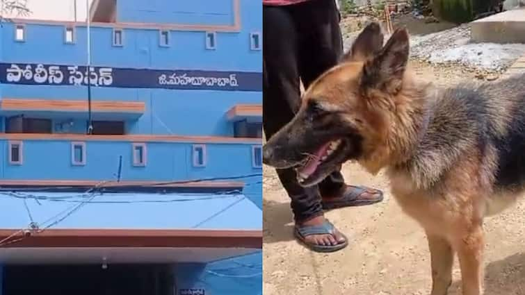 two persons fight for dog and complaint to the police in mahabubabad Mahabubabad News: 'అది నా కుక్క కాదు కాదు నాది' - పోలీస్ స్టేషన్‌కు చేరిన శునక పంచాయతీ