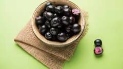 Health Tips: ગર્ભાવસ્થામાં અમૃતથી કમ નથી વર્ષમાં એક વાર મળતું આ ફળ, જાણો તેના ફાયદા