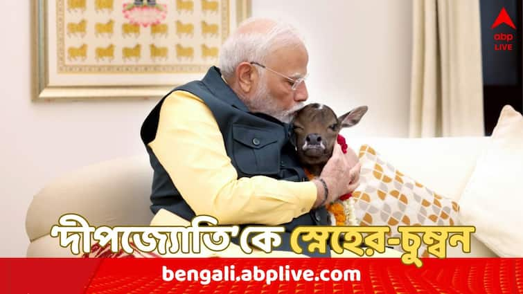 PM Narendra Modi welcomes new member in his Lok Kalyan Marg residence PM Modi : বাড়িতে 'নতুন সদস্যের' আগমন, সুখবর দিলেন মোদি